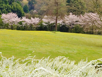 グリーンヒルズ津山にて