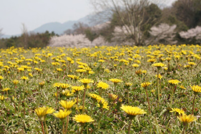 グリーンヒルズ津山にて３